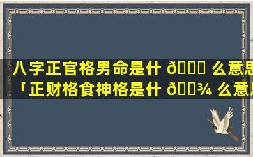 八字正官格男命是什 🐈 么意思「正财格食神格是什 🌾 么意思」